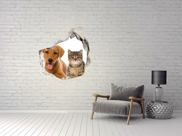 3D wall hole Dog and cat