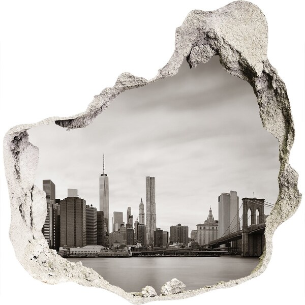 Hole wall sticker View of New York
