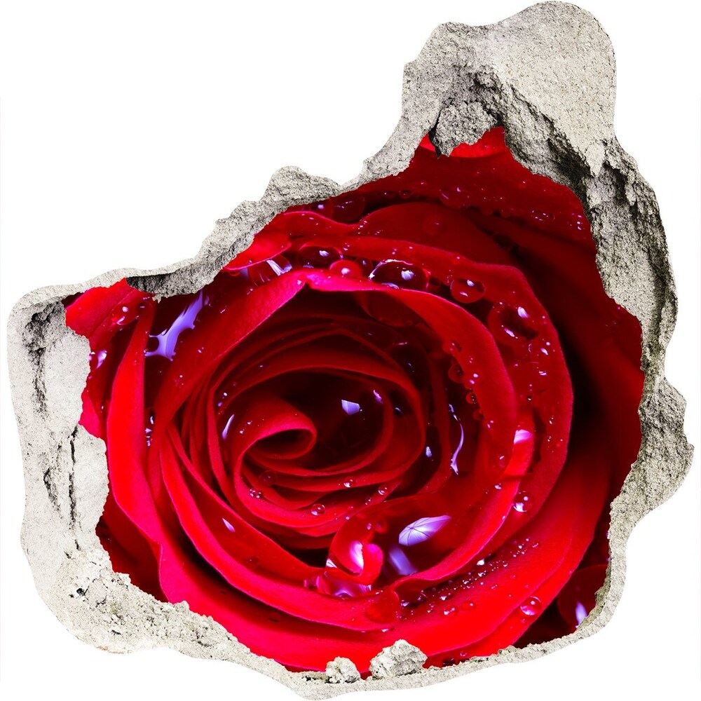 Hole wall sticker Rose flower