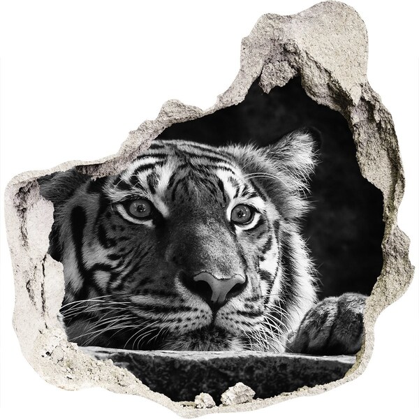 Hole wall sticker Tiger in a Hole in the Wall