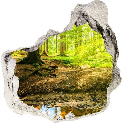 3D wall hole wallpaper Green forest with a stream