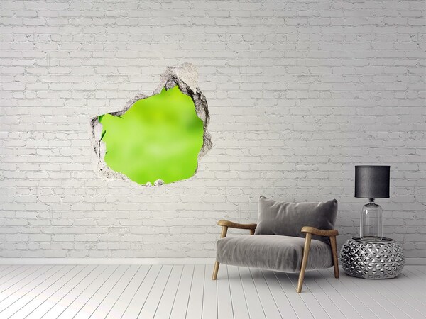 Hole in the wall decal A green oasis behind the wall
