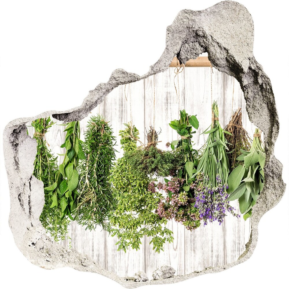 Hole in the wall sticker Herbs on a string