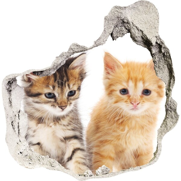 Hole in the wall sticker Cat friends behind the hole