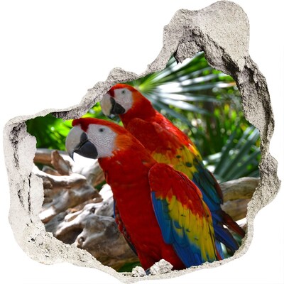 3D wall hole wallpaper Tropical parrots in the jungle