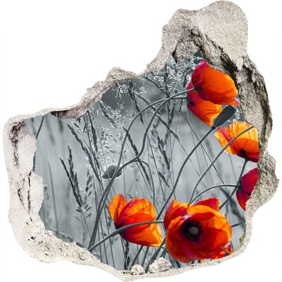 3D wall hole wallpaper Field poppies