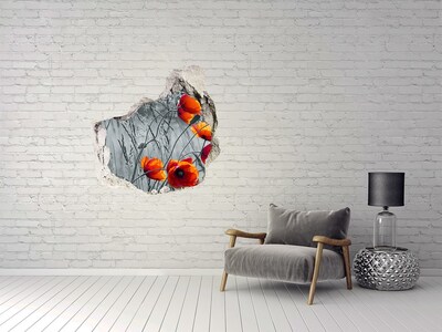 3D wall hole wallpaper Field poppies