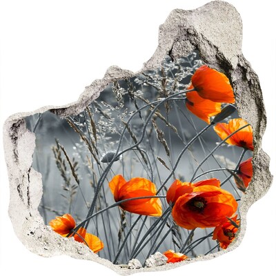 3D wall hole wallpaper Field poppies