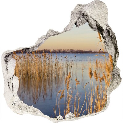 Hole in the wall sticker Bay with reeds