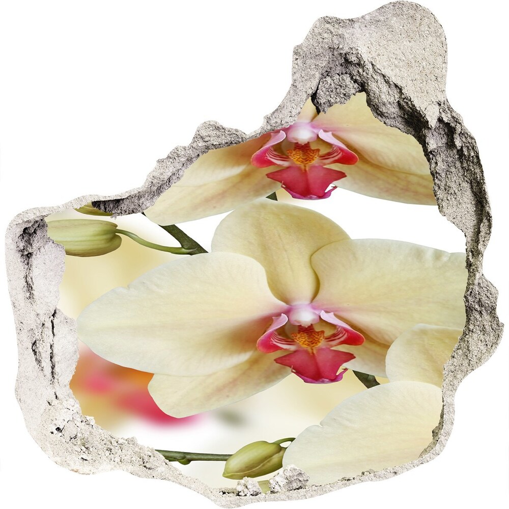 Hole wall sticker Orchid