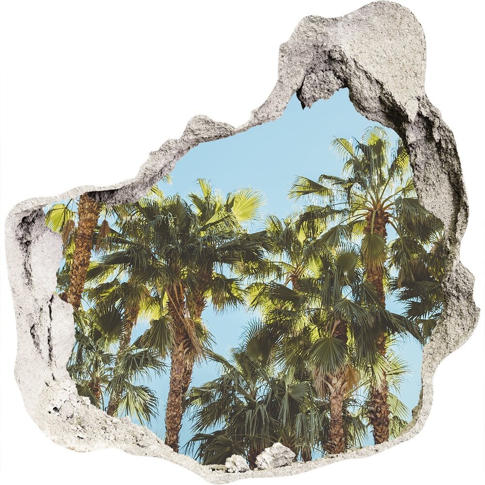 Hole in the wall decal High palm trees