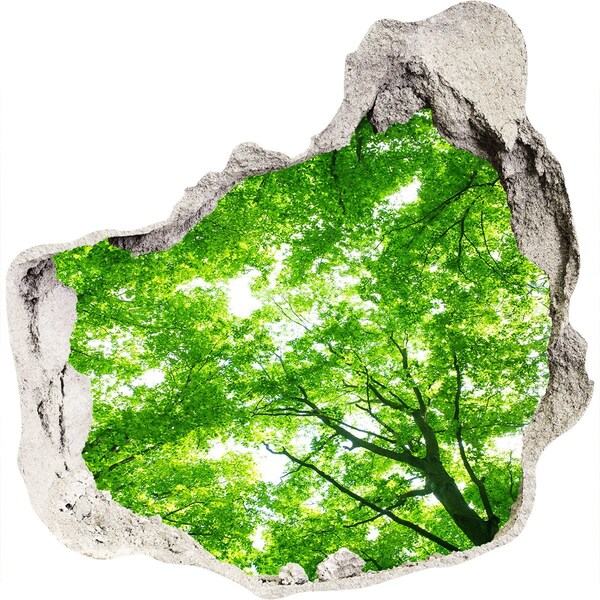 Hole in the wall decal Green Forest