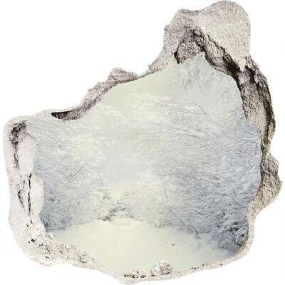 Hole in the wall decal Winter landscape behind the wall