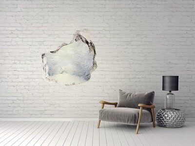 Hole in the wall decal Winter landscape behind the wall