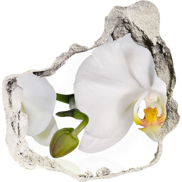 Hole in the wall sticker Orchid flowers in concrete