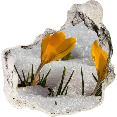 3D wall hole wallpaper Crocuses in the snow