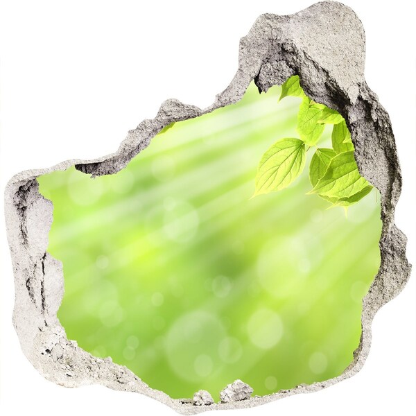 Hole in the wall sticker Green paradise behind the wall