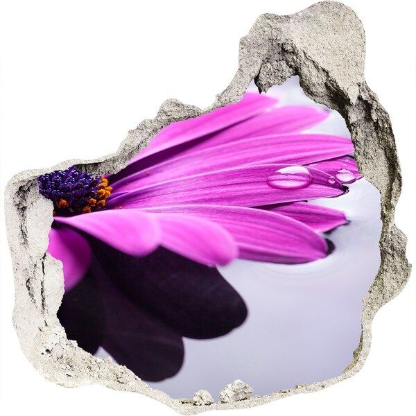 Hole in the wall decal A floral oasis behind the wall