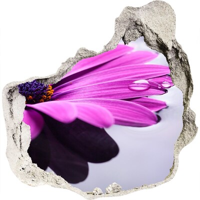 Hole in the wall decal A floral oasis behind the wall