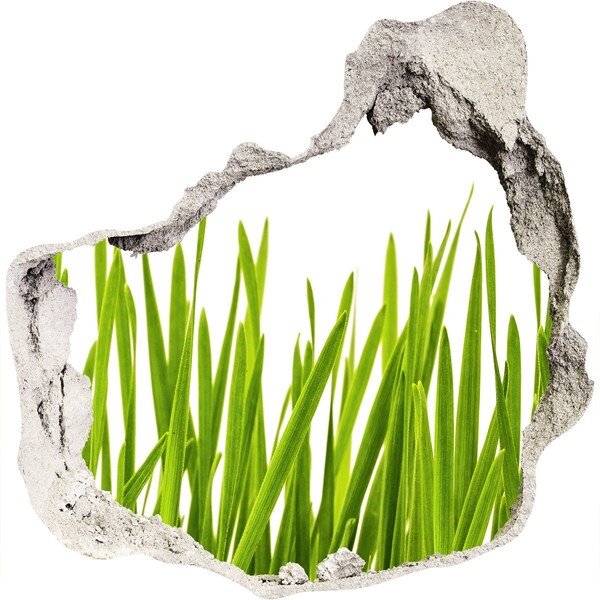 Hole in the wall decal Green meadow through the wall