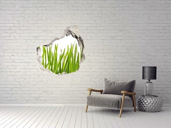 Hole in the wall decal Grass