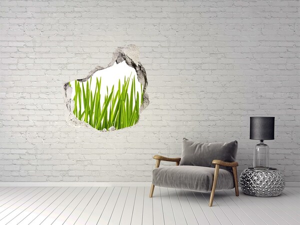 Hole in the wall decal Green meadow through the wall