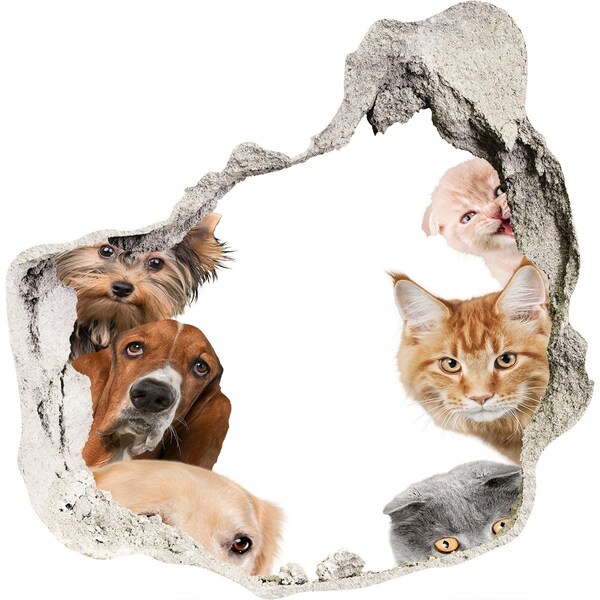 3D wall hole wallpaper Animals in a Hole in the Wall