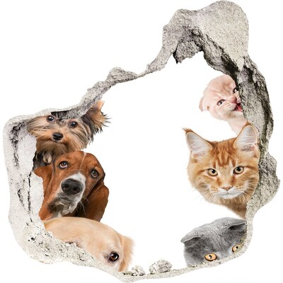 3D wall hole wallpaper Animals in a Hole in the Wall