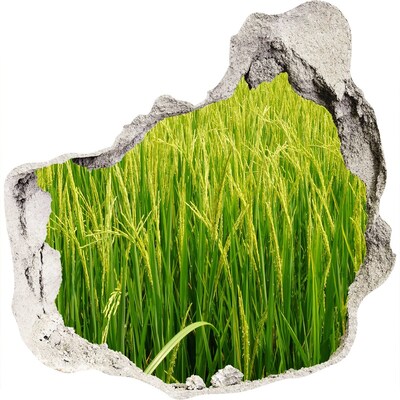 Hole in the wall sticker Green rice fields