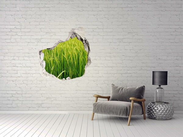 Hole in the wall sticker Green rice fields