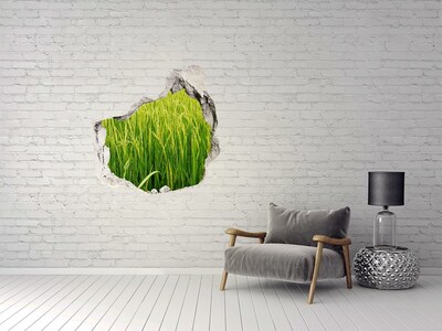 Hole in the wall sticker Green rice fields
