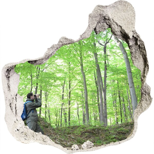 Hole wall sticker Ornithologist in the forest