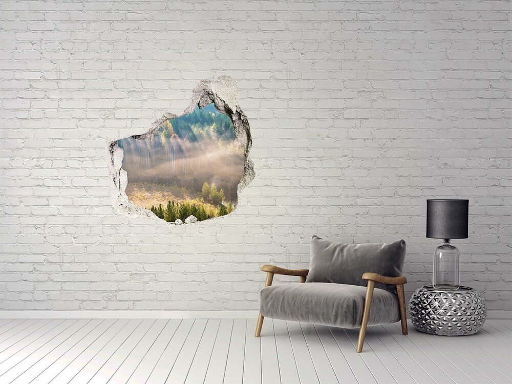 Hole in the wall sticker Fog in the forest