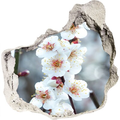 Hole wall sticker Cherry blossoms