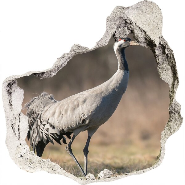 Hole wall sticker Crane in its natural habitat