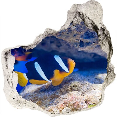 Hole wall sticker The underwater world of the coral reef