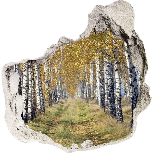 Hole in the wall decal Autumn birch alley