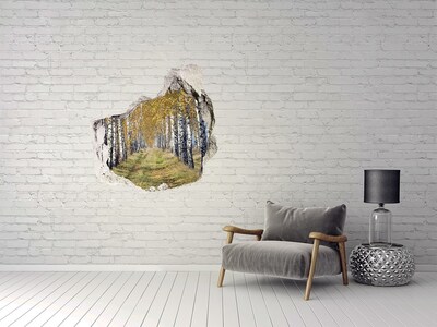 Hole in the wall decal Autumn birch alley