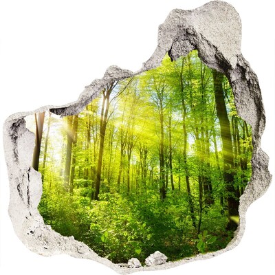 3D wall hole wallpaper Green forest with sun rays