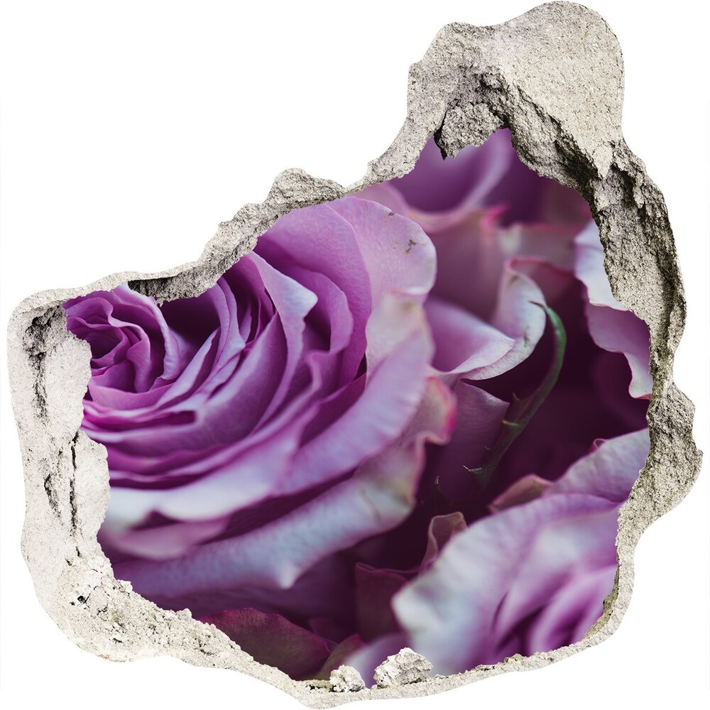 Hole in the wall sticker Purple roses