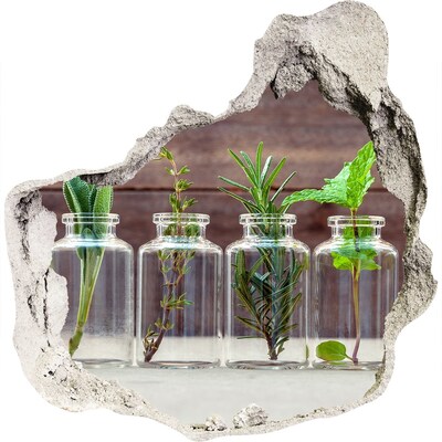 3D wall hole A green oasis in glass jars