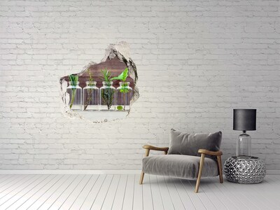 3D wall hole Plants in jars