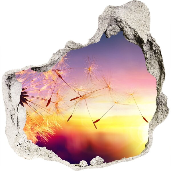 Hole in the wall sticker Flower dreams at sunset