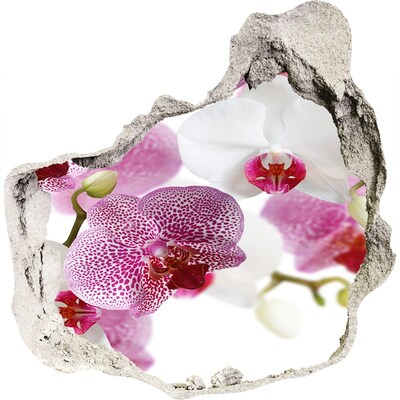 3D wall hole wallpaper A Hole-in-the-Wall Floral Oasis