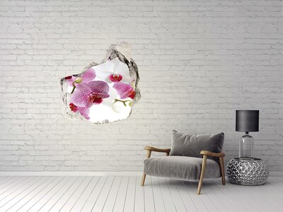 3D wall hole wallpaper A Hole-in-the-Wall Floral Oasis