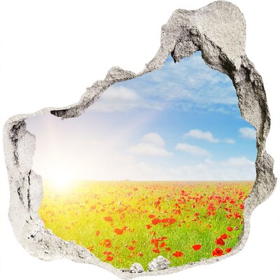 Hole wall sticker Flower meadow in the sunshine