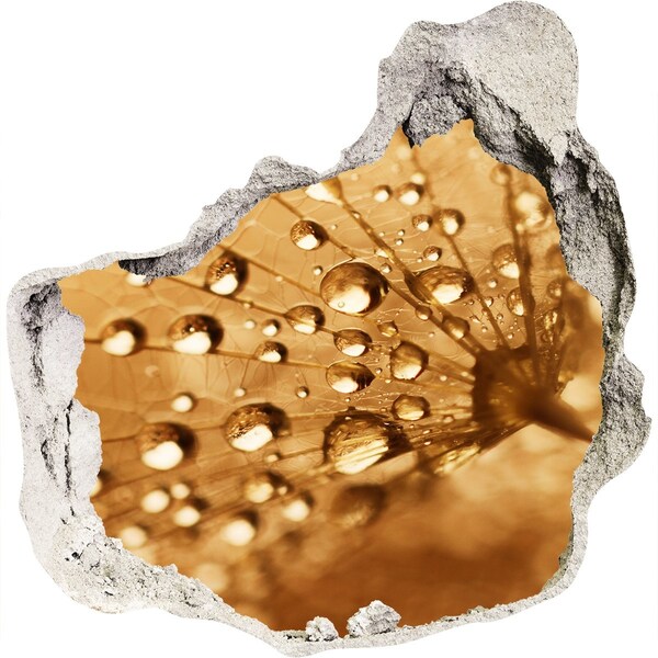 Hole in the wall sticker Drops on a leaf