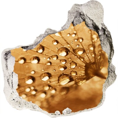 Hole in the wall sticker Drops on a leaf