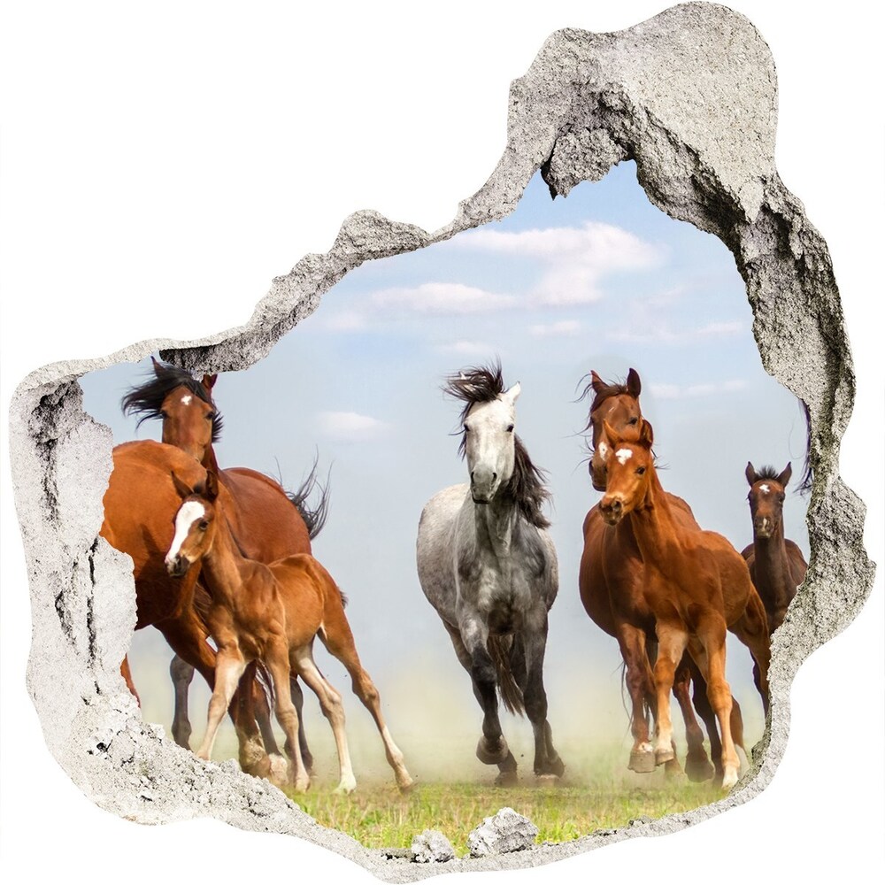 Hole in the wall decal Horses at gallop