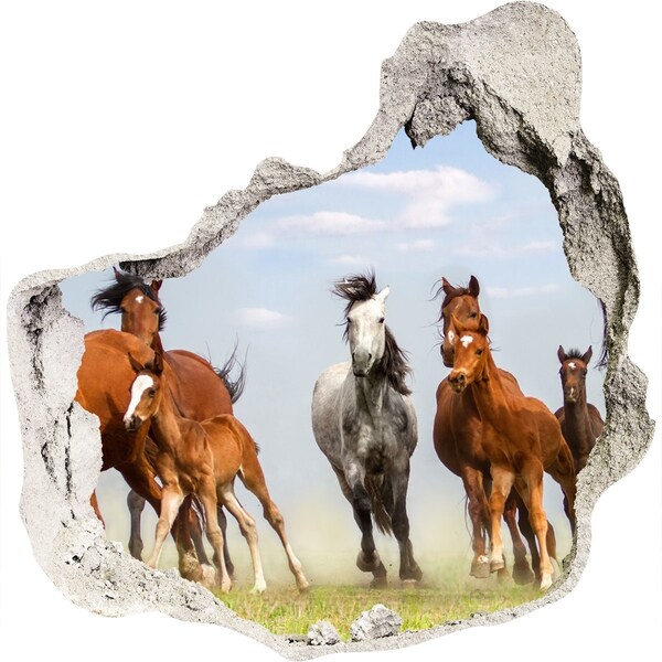 Hole in the wall decal Galloping horses in the meadow